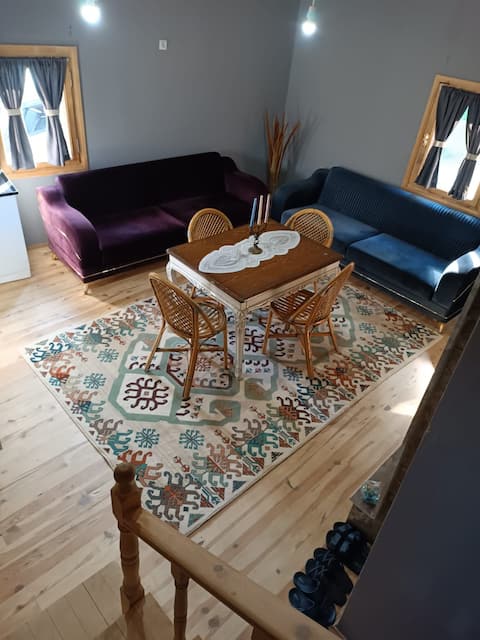Successful Airbnb property: Diamond Tree House in Maçka