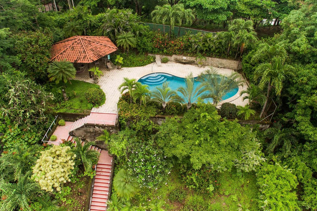 Large shared swimming pool, lush gardens, rancho with hammocks