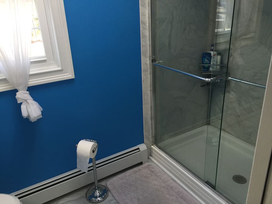 Beautiful recently finished large stand up shower:)