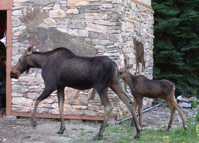 Keystone Mountain Retreat near Lake Pend Oreille