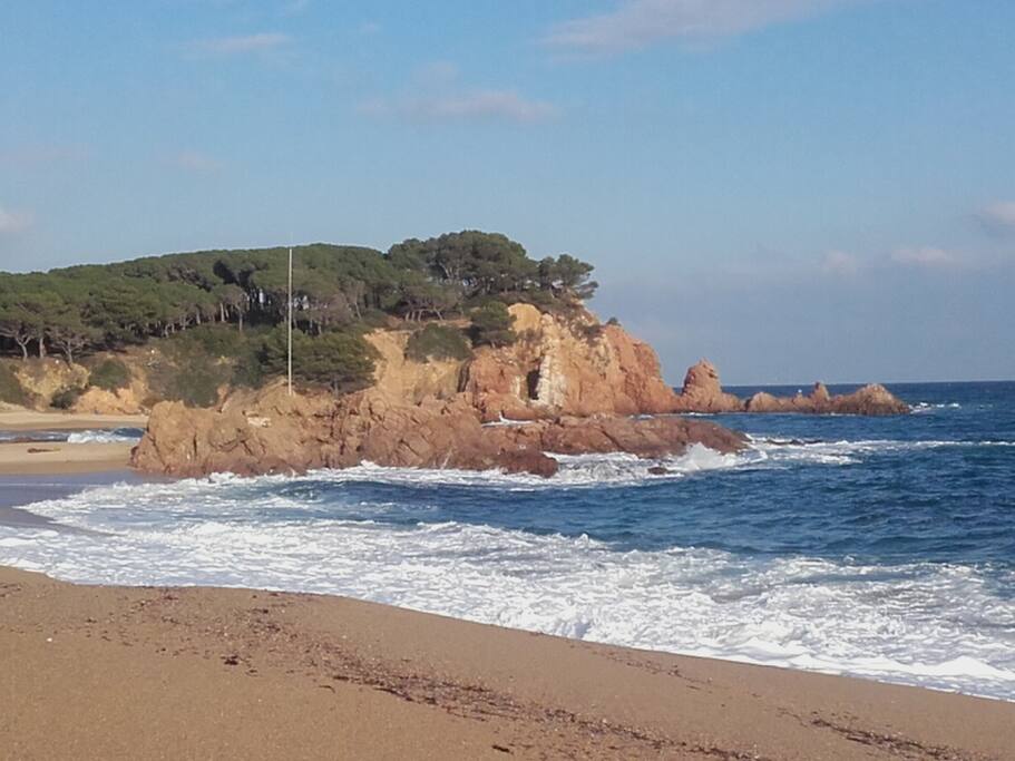 Crique Sa Conca à 15 min à pied ou 5 min en voiture