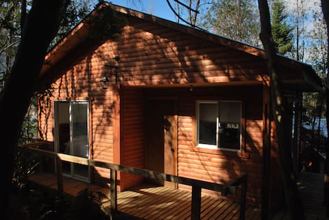 Chucao Bosque y Cabañas 01 (Chucao Forest and Cabins 01)