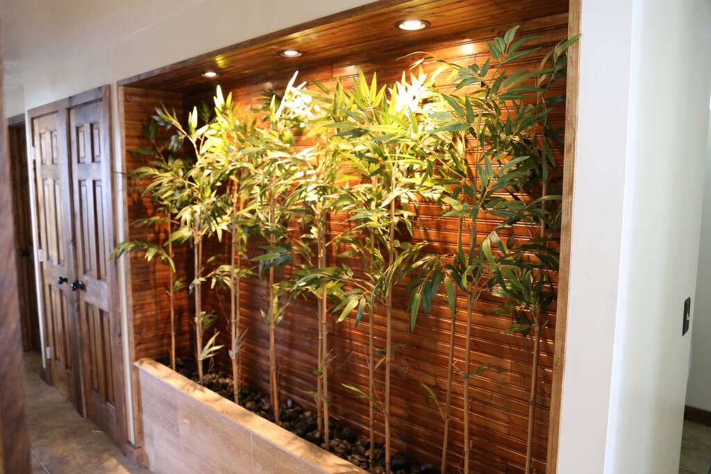 Bamboo Garden