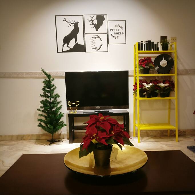 getting ready for Christmas =)