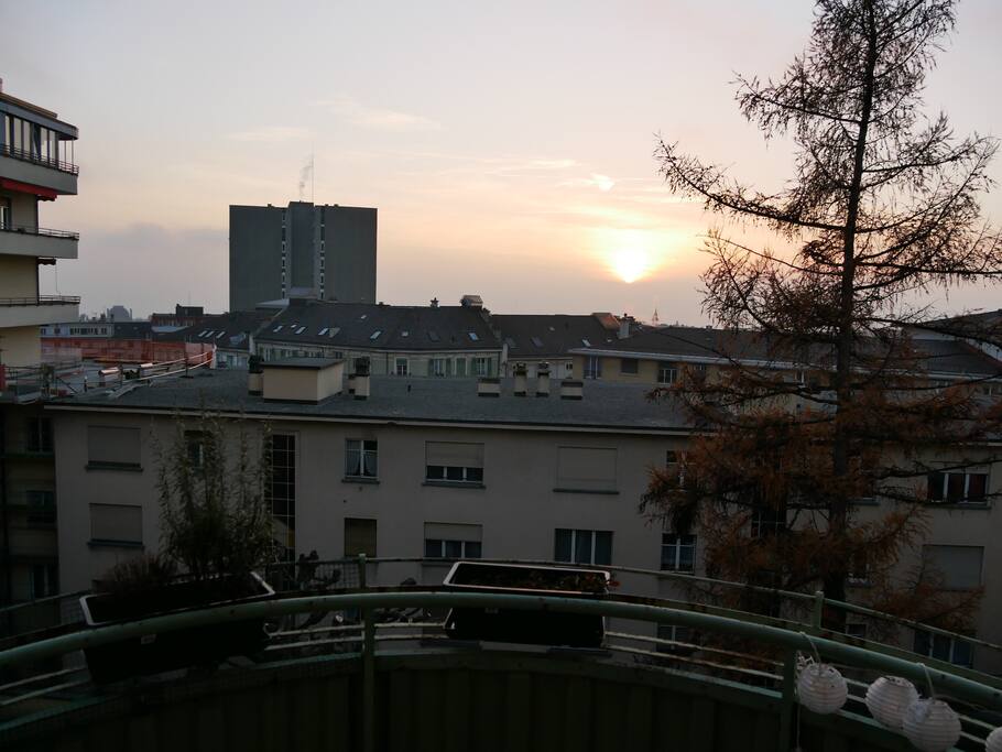 View South-West from the Balcony