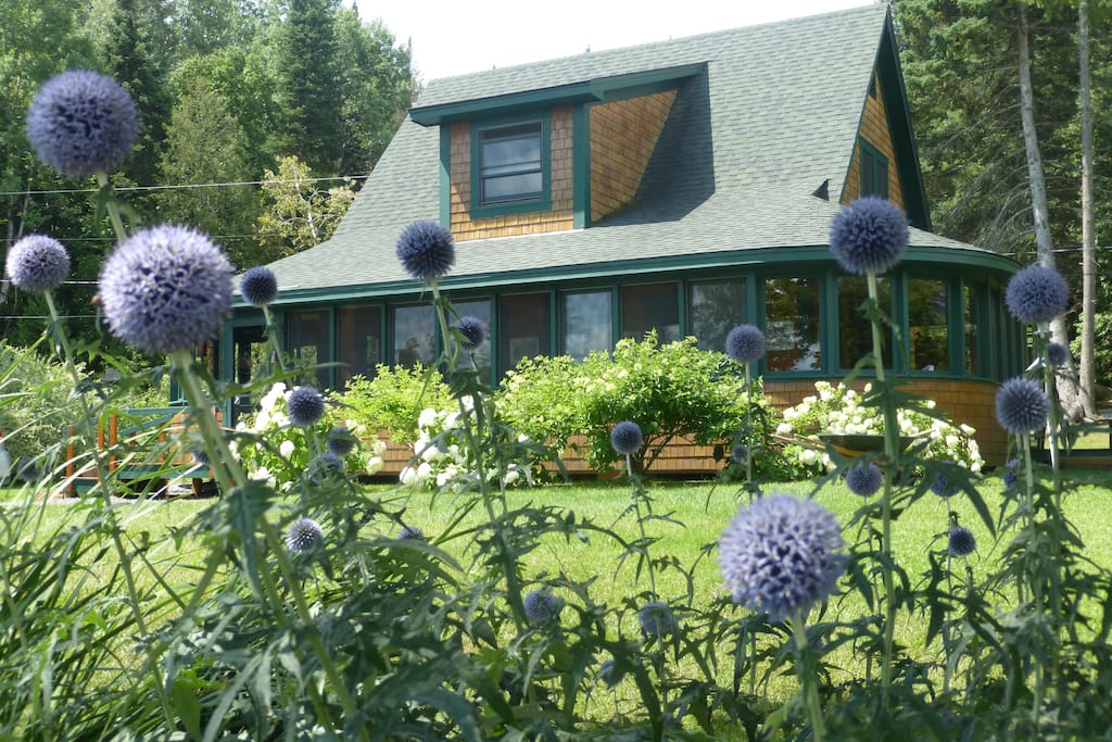From the flower garden