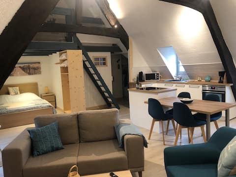 Annonce Airbnb populaire: Spacious studio with sea view of the old port (WiFi) à Roscoff