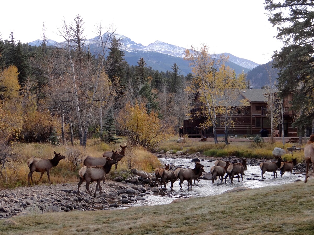 A herd of elk is seen crossing a gently flowing river, surrounded by autumn-colored foliage and trees. The backdrop features a mountain range with snow capped peaks, while a rustic building is partially visible nearby, seamlessly blending into the natural landscape.