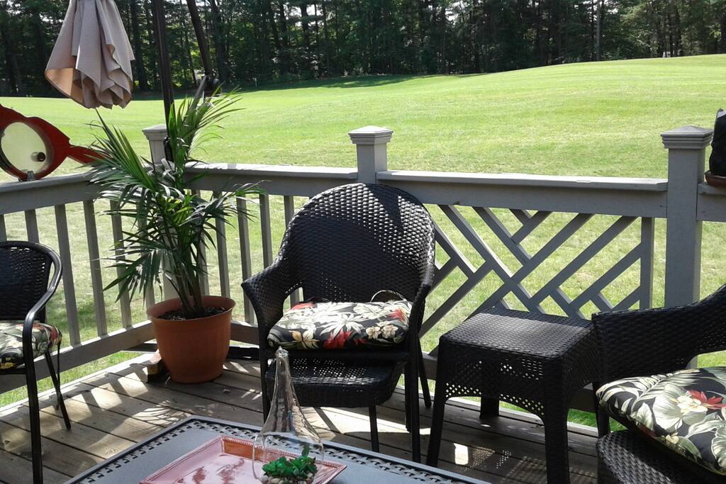Partial View of Deck