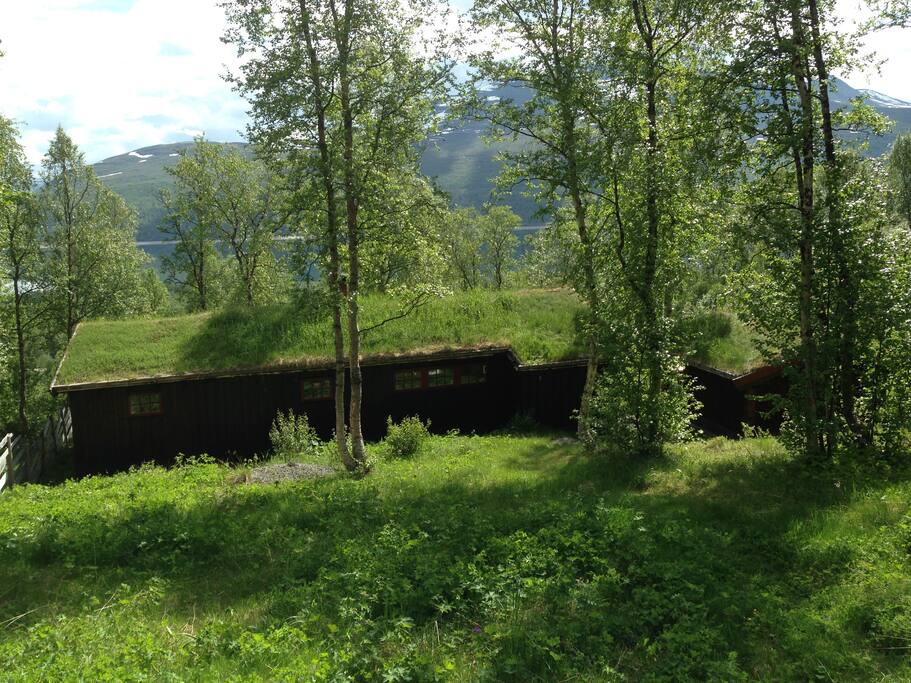 hytta sett fra baksiden