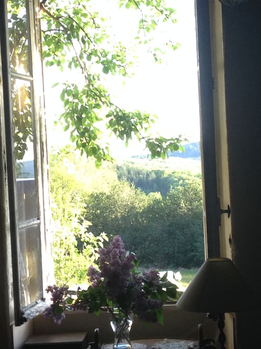 Vue de la fenêtre du salon, plein sud