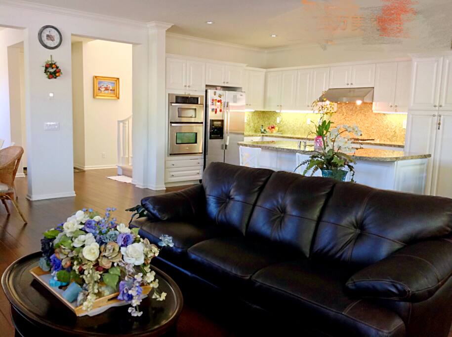 living room1