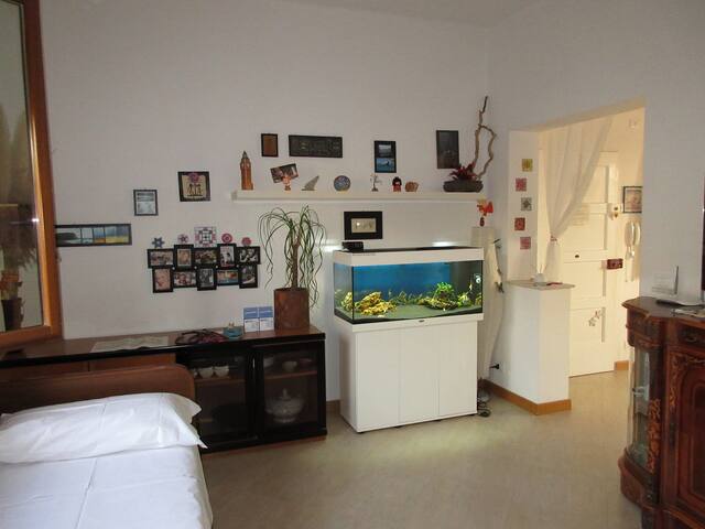 Nice and quiet apartment near the Venice Festival gallery image 5