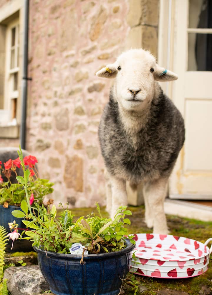 1번째 체험 사진