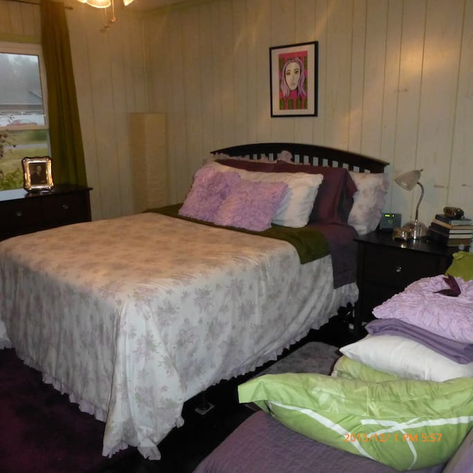The room has a new queen size bed and the TV has Netflix, Hulu and Amazon Prime.