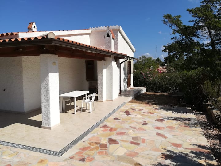 House Green Apartment Apartments for Rent in Rena Majore