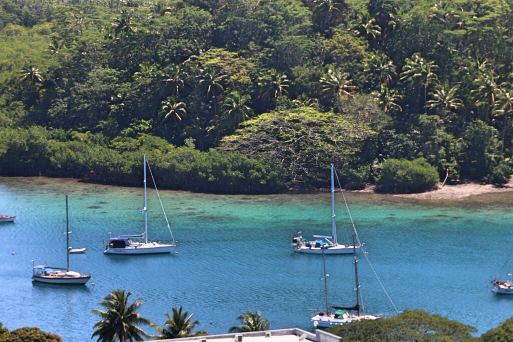 Bula Vista! Fab Fiji Container Home & Boat Shed Cottages for Rent in