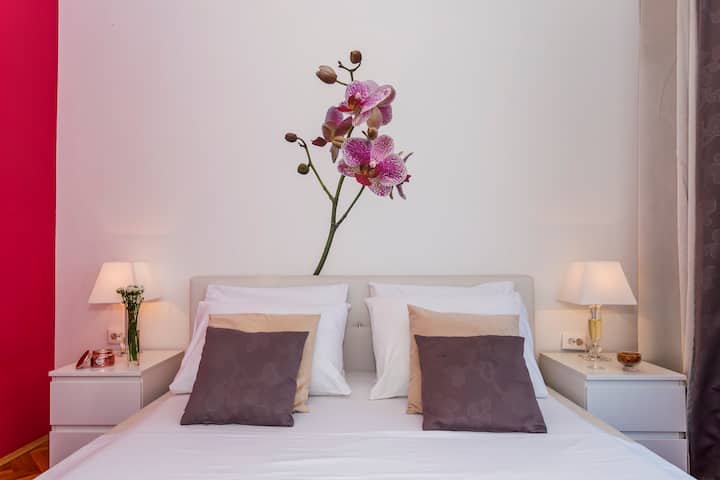 Ante Apartments