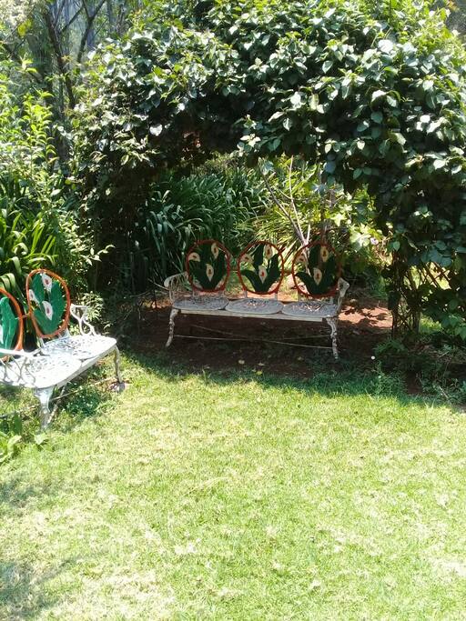 Jardín lateral