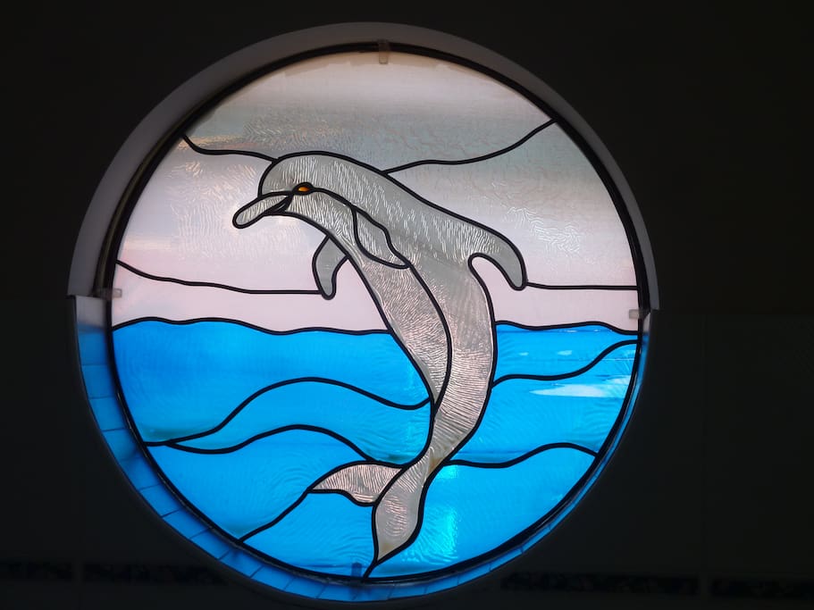 Dolphin View