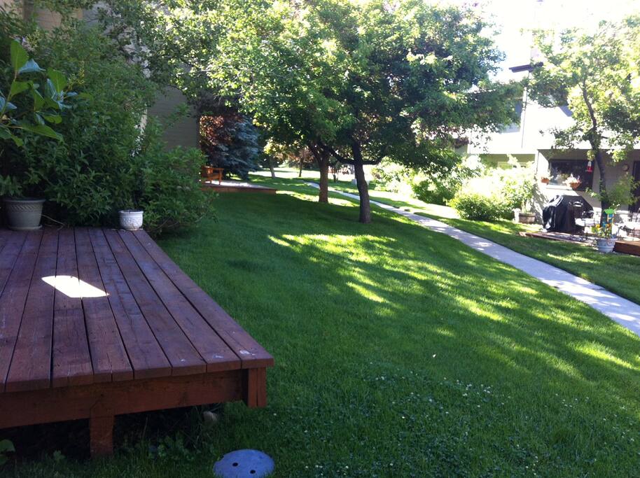 Shared greenspace in backyard