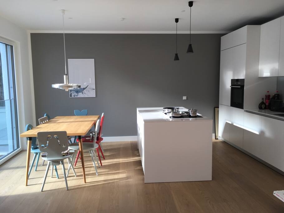 Bulthaup kitchen - induction, microwave, freezer, fridge, ...