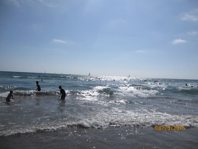 1908 Craftsman’s in Venice