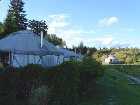 Yurts in the forest rentals