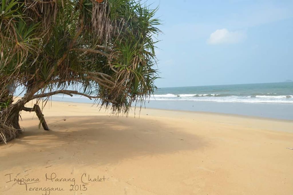 Near Beach