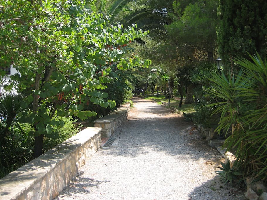 Jardines interior complejo