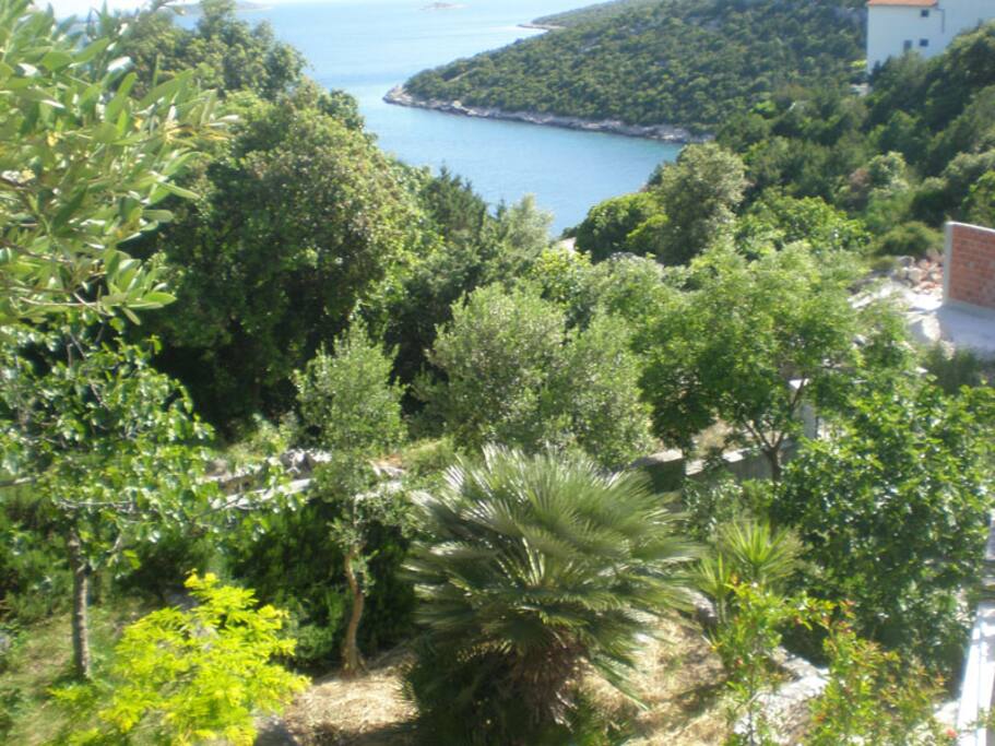 view