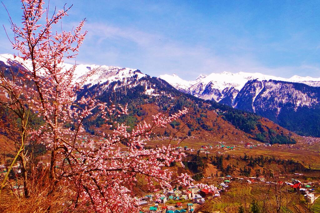 Spring View from Balcony