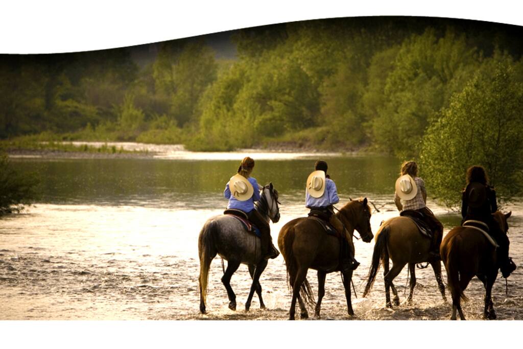 Passeggiate a cavallo al fiume