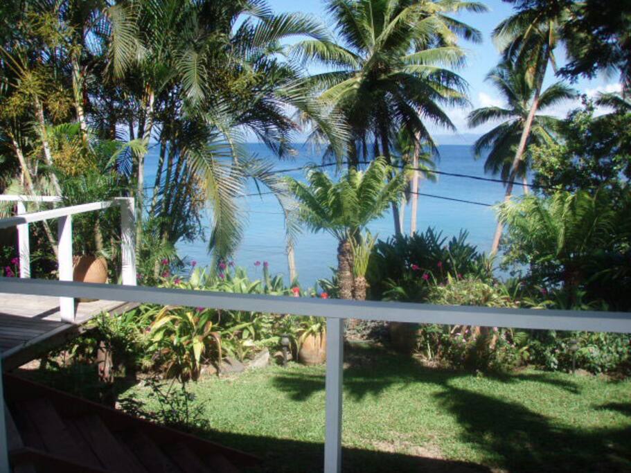 View from kitchen window