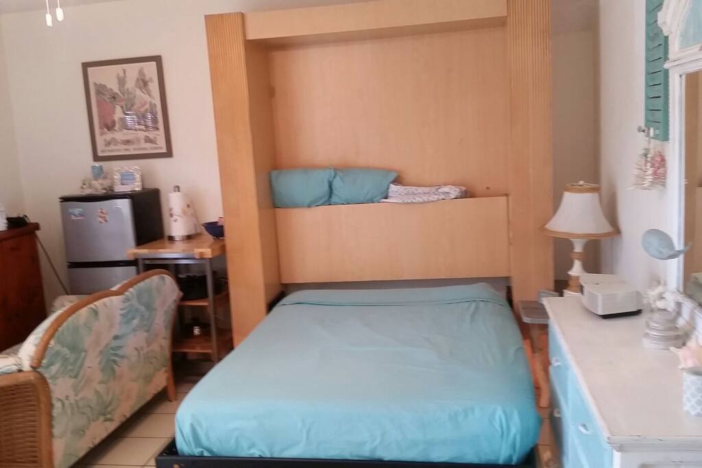 with Murphy bed opened