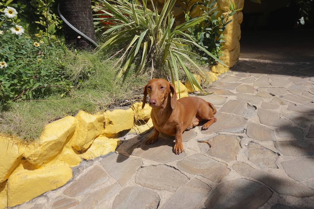 wildlife around the hotel