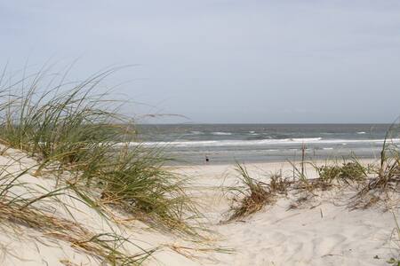 Beach Lover's  Getaway!  Unit A