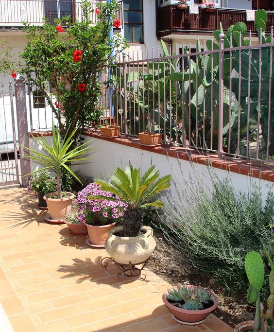 Giardino roccioso