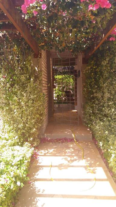 Entrada