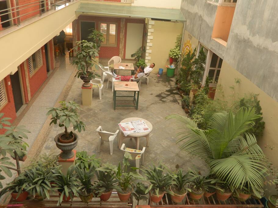 garden