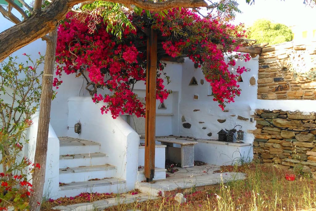 Coutyard back view