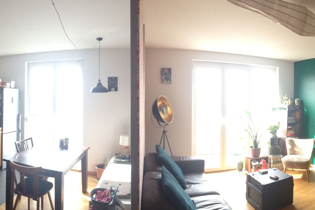 Blick in Küchen- und Wohnbereich, geteilt durch Raumteiler