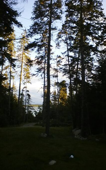 View from the deck