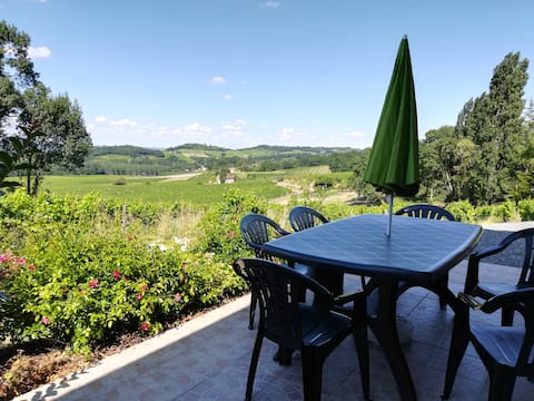 The Vines in Périgord