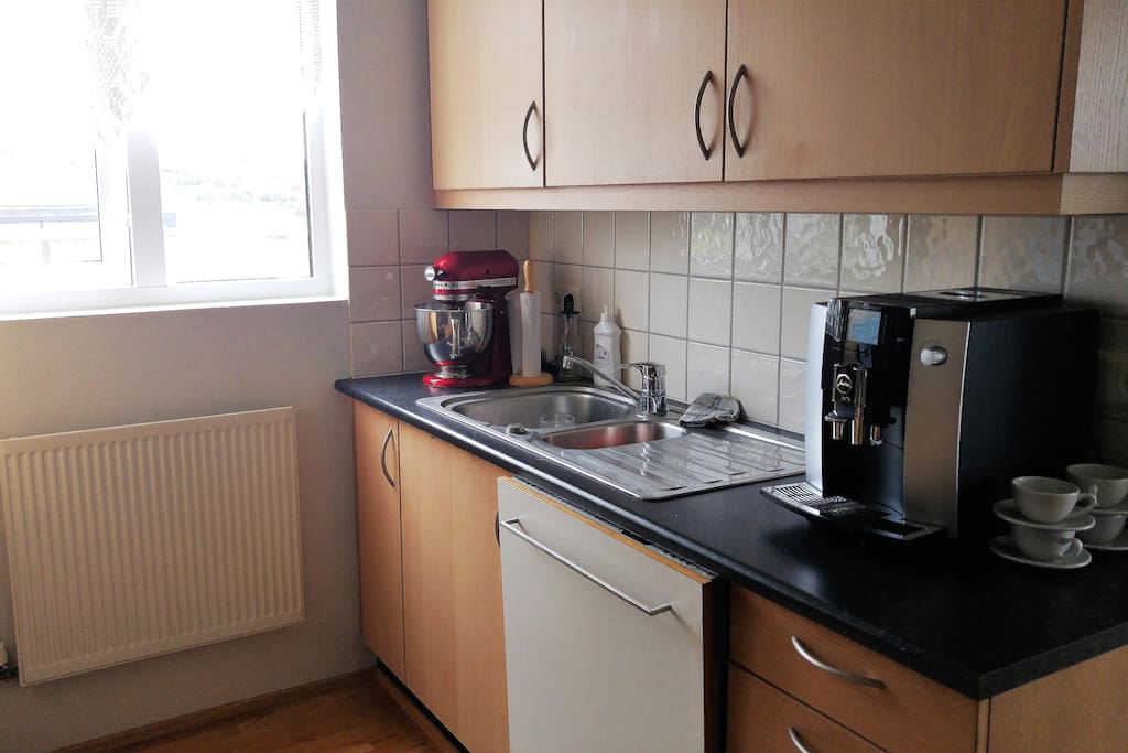 Dishwasher in the kitchen