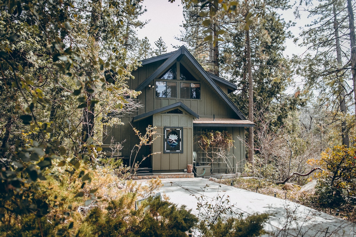 A multi-level cabin is nestled among tall trees, featuring a combination of earth-tone exterior and rustic architecture. The entrance is framed by greenery, with a charming window displaying a decorative element. A stone pathway leads to the cabin, inviting guests to explore the surroundings.