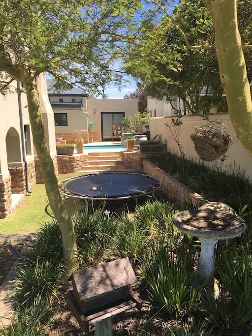 Trampoline and swimming pool
