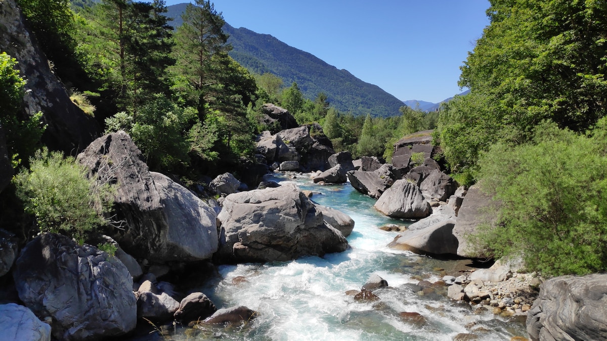A flowing river is framed by large, uneven rocks and lush green trees along its banks. The water displays a vibrant turquoise hue under clear blue skies, creating a serene natural landscape.