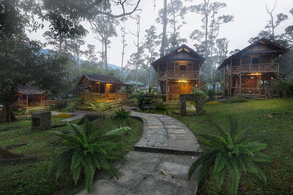 Taiping Bamboo Resort Double Storey Bamboo Lodge Nov 2021 Nature Lodge In Larut Malaysia 1 Bedroom 1 Bathroom