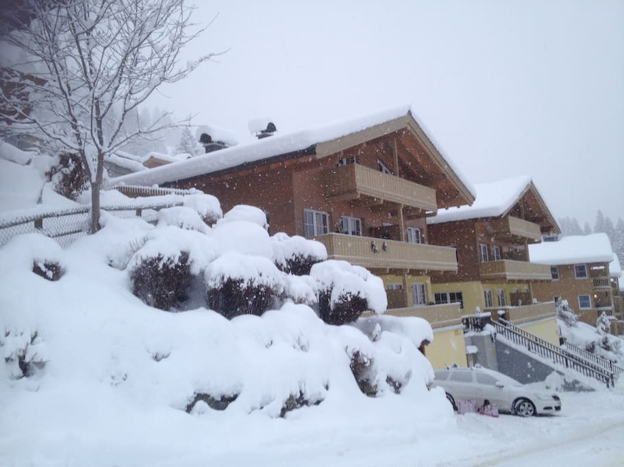 Winter Wonderland